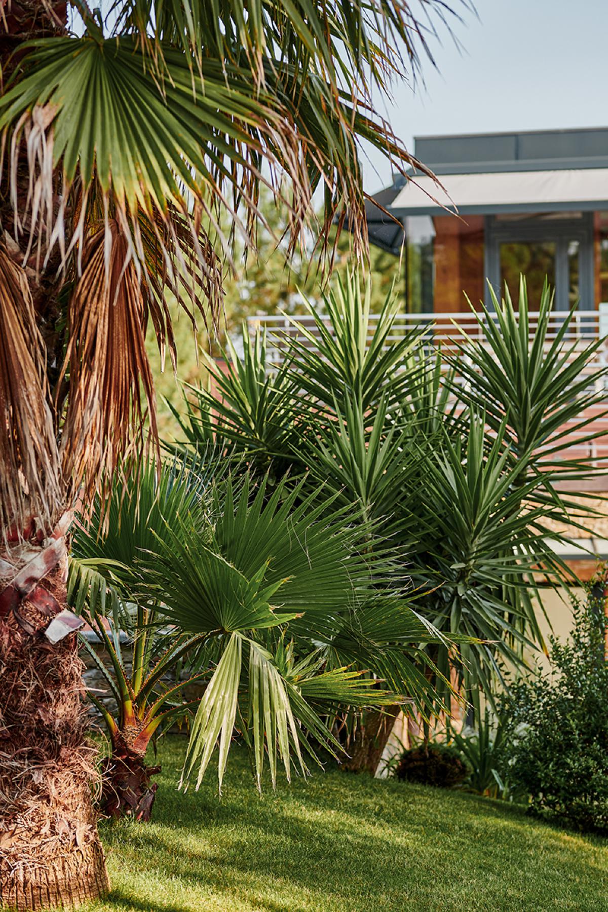 Estaun architectures - Laurent Estaun - Architecte DPLG - BIARRITZ - MAISON LA COLLINE