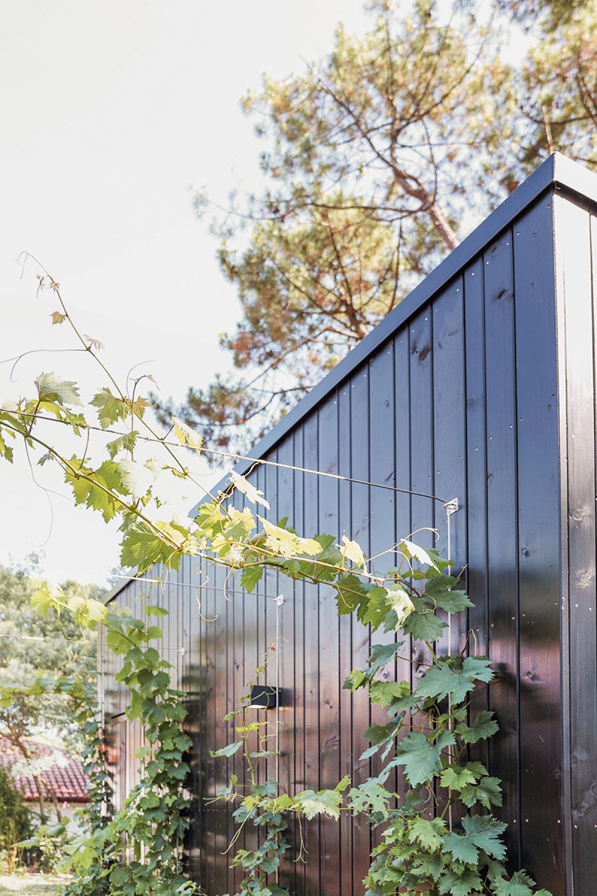 Estaun architectures - Laurent Estaun - Architecte DPLG - BIARRITZ - MAISON ALAIN