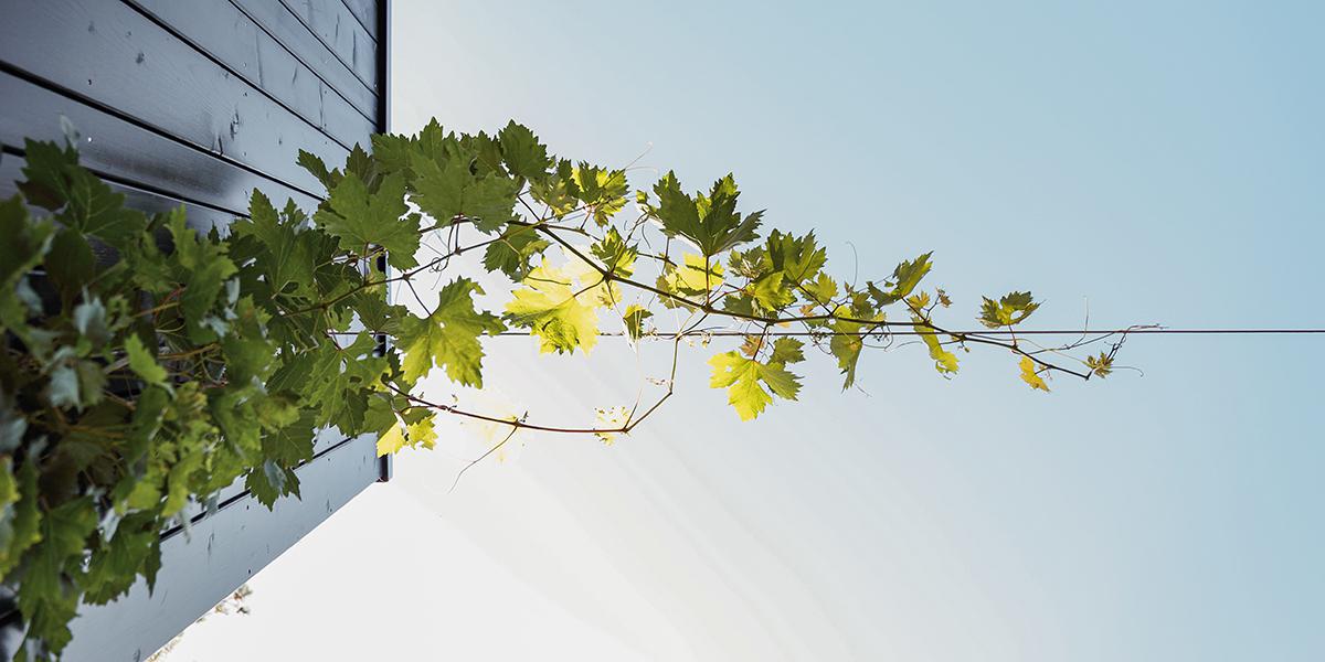 Estaun architectures - Laurent Estaun - Architecte DPLG - BIARRITZ - MAISON ALAIN
